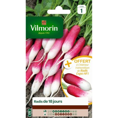 Sachet graines Radis de 18 jours
