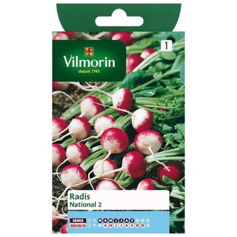 Sachet graines Radis national 2