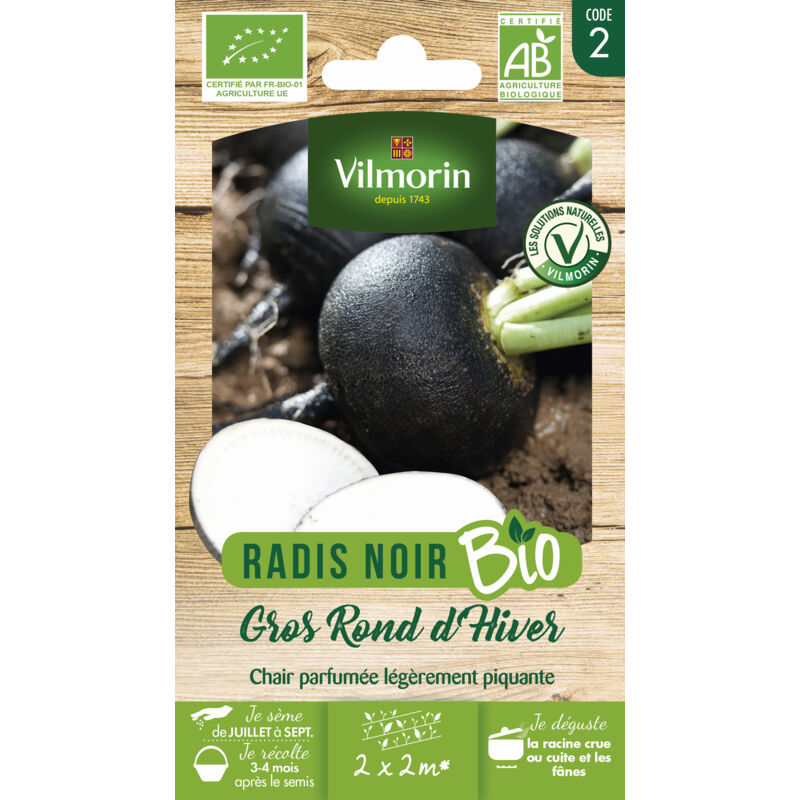 Vilmorin - Radis Noir Gros Rond d'Hiver - bio