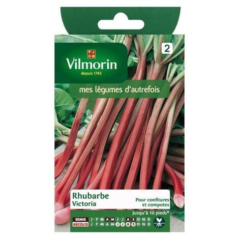 Sachet graines Rhubarbe victoria