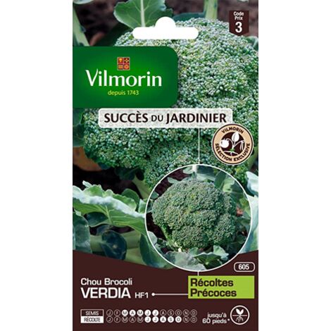 Sachet graines Sachet graines Chou Brocoli Verdia