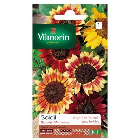 Sachet graines Soleil beauté d'automne
