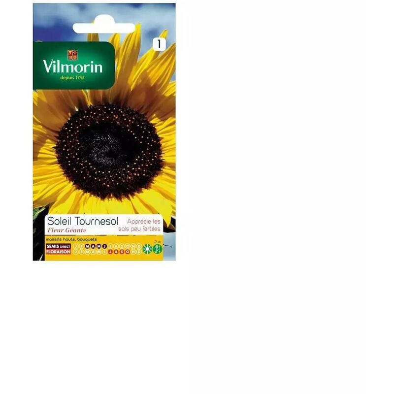 Vilmorin - Sachet graines Soleil tournesol fleur géante