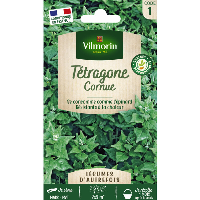 VILMORIN Sachet graines T&eacute;tragone cornue