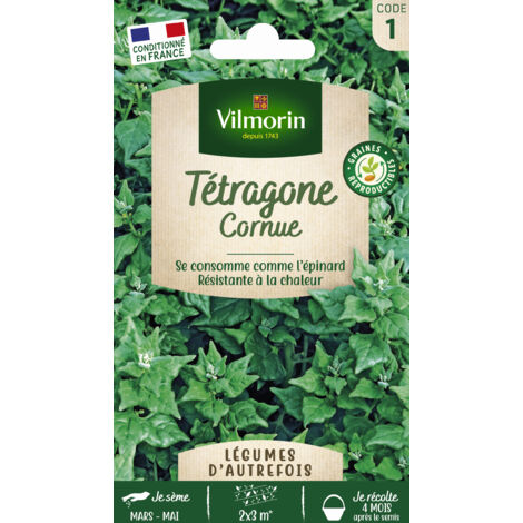 Sachet graines Tétragone cornue