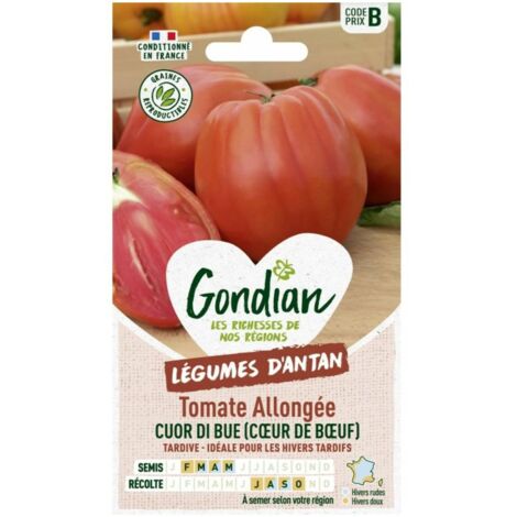 Sachet graines Tomate Cuor di Bue ( coeur de boeuf ) Gondian