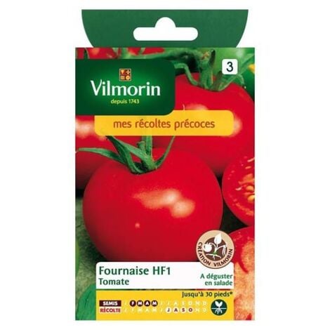 Sachet graines Tomate fournaise HF1