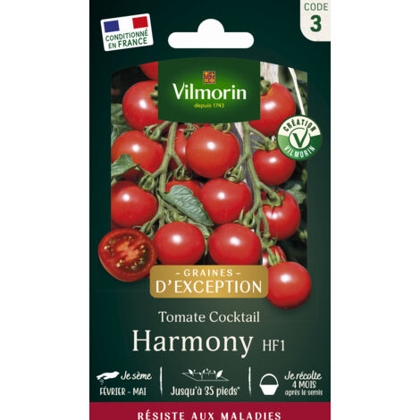 Sachet graines Tomate Harmony HF1