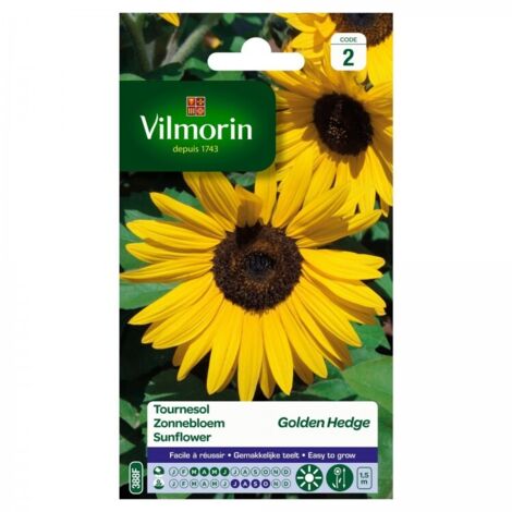 Sachet graines Tournesol Soleil Golden Hedge