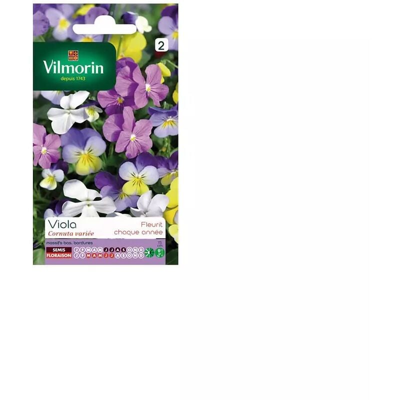 Vilmorin - Sachet graines Viola Cornuta variée