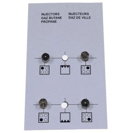 SACHET INJECTEURS GAZ BUTANE POUR CUISINIERE BEKO - 4431900071