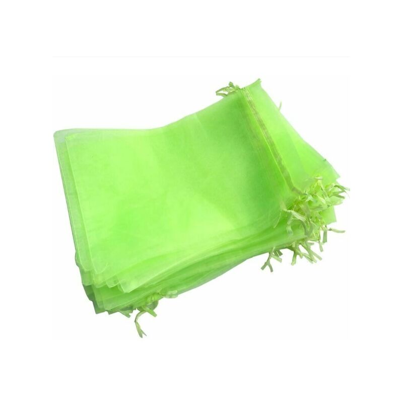 Sachet Protection Raisin