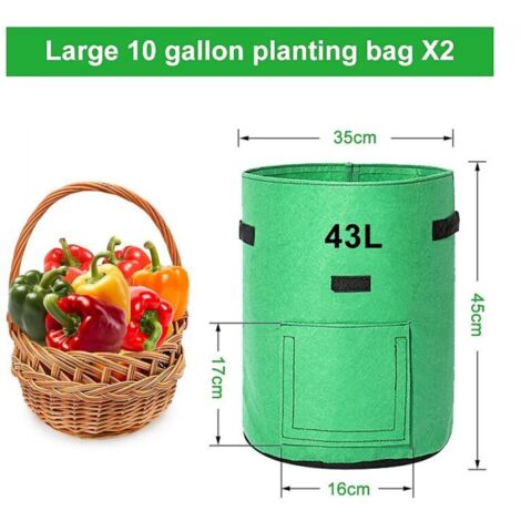 Sacs de culture de pommes de terre, 2 X 43l, sacs de culture/sac de plantation de pommes de terre de jardin, tissu Non tissé respirant à Double couche avec sol de fenêtre