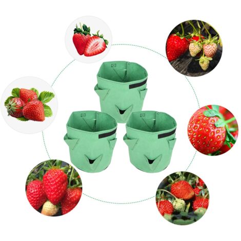 Sacs de culture felt à 6 trous pour fraises - 3 pièces - 26L (7 gallons) - Vert - Planter sacs jardin réutilisable multifonction