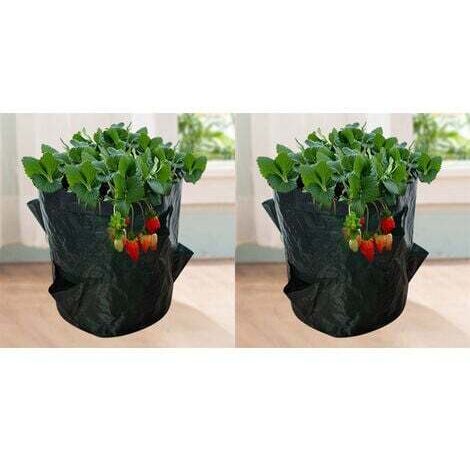Sacs de Culture pour Fraises 18L - Lot de 2 Pots Géotextiles avec Fenêtre - 23x28cm 4 Ouvertures - Sacs de Jardin pour Légumes et Plants