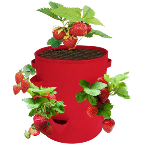 Sacs de culture pour fraises 38 litres avec 8 sachets de culture, jardinière respirante avec poignées 35,5 x 45,5 cm