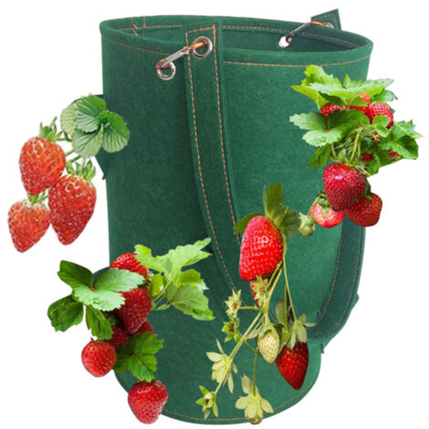 Sacs de culture pour fraises de 15 x 9 pouces avec 8 trous de culture, jardinière suspendue, sac de culture respirant pour légumes et fleurs avec poignées