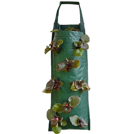 Sacs de culture pour fraisiers, lot de 2, jardinières respirantes pour fraisiers au jardin