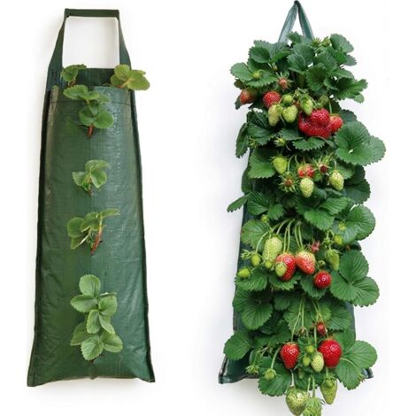 Sacs de culture suspendus pour fraises, adaptés à la culture de fruits, d'herbes et de fleurs, traités anti-UV.