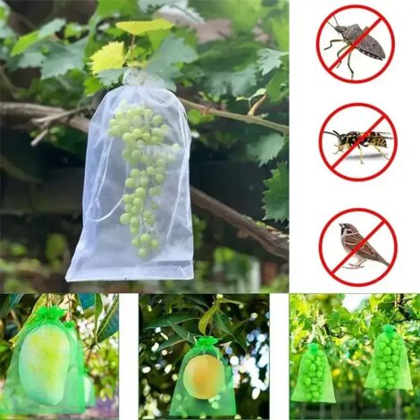 Sacs de protection pour raisins (violet, 20 x 30 cm, lot de 100) : sacs de culture en maille respirante pour la protection des fruits et des plants de fraisiers.