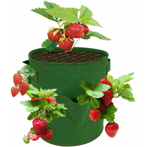 Sade plantation de fraises en feutre Sade culture de fraises rond multi-bouche, vert armee grand 10 gallons (8 bouches) - vert armee grand 10 gallons (8 bouches) - MSBD