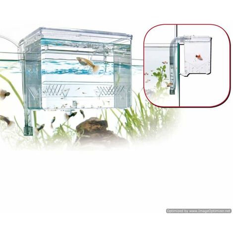 Salle de naissance extérieure avec recirculation d'eau pour aquariums