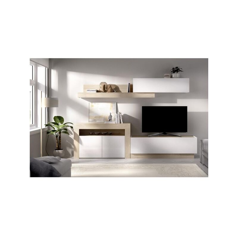 

Salón Tv Con Puertas Y Módulos Horizontales