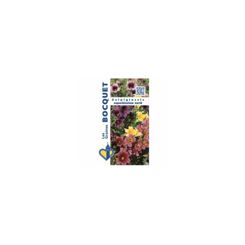 Salpiglossis à grande fleur varié - 0,8g