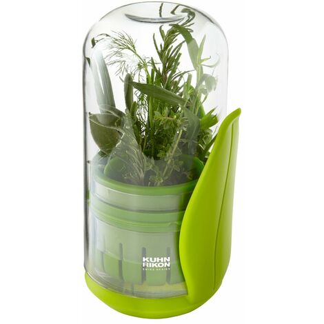 Salva erbe aromatiche