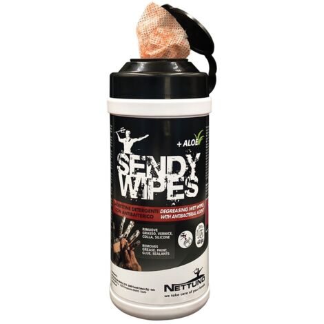 SALVIETTE UMIDIFICATE 'SENDY WIPES' 80 salviette - cm 19,5 x 26