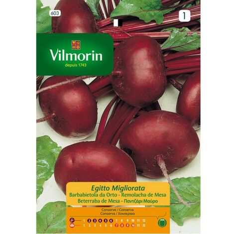 Samen Vilmorin RÐ©bentisch zerkleinert Ð«gypten - 7 g