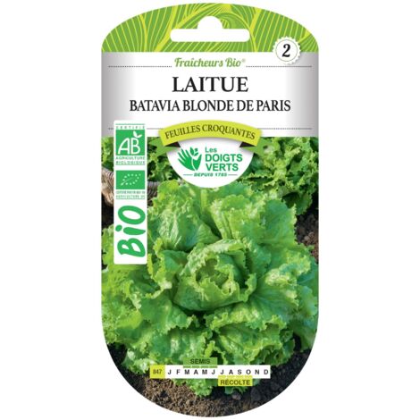Samen von Paris Bio Batavia-Salat Blonde Die Grünen Finger
