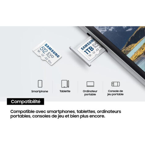 Samsung Carte MicroSD EVO Plus (2024) 1 To