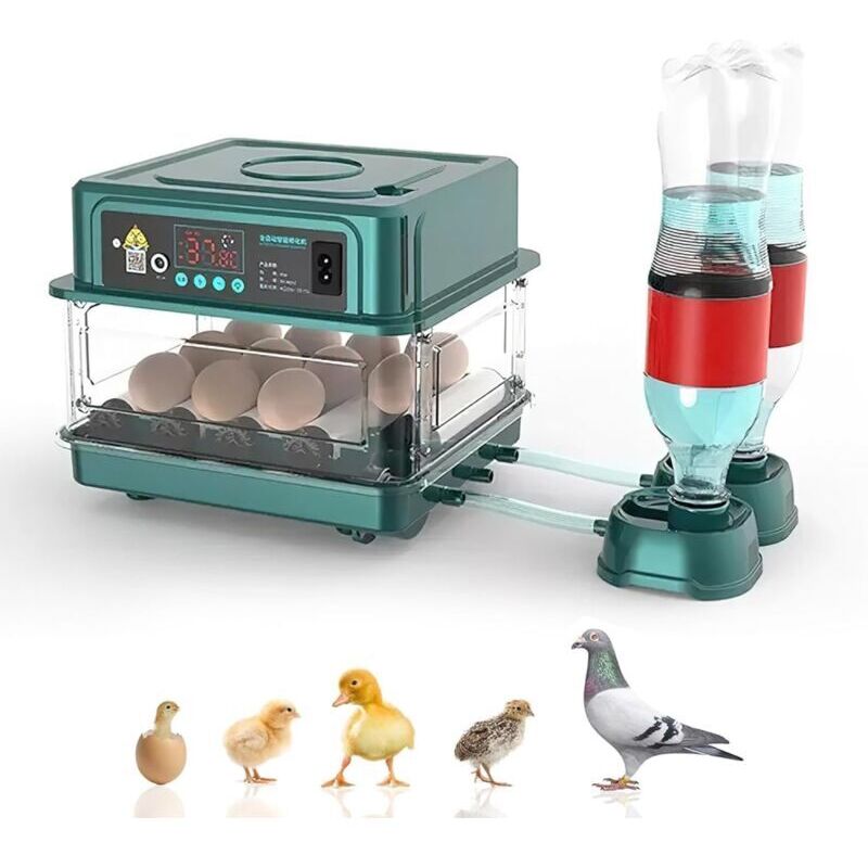 Couveuse Oeuf Automatique,avec Surveillance de l'humidité,Retournement Automatique des Œufs,Ajout Automatique d'eau et Éclairage des Œufs,pour