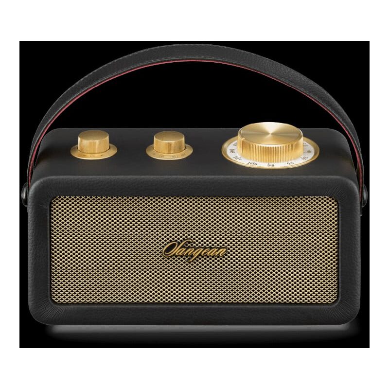 RA-101 Black Gold. Design rétro deen bois et en similicuir. Bluetooth 5.0. Autonomie de 19 heures avec une charge complète. Entrée aux pour les