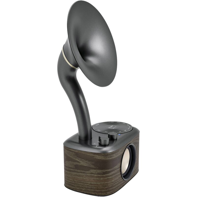 WR-45 Black Radio de table fm aux, Bluetooth rechargeable noir Q141772 - Sangean