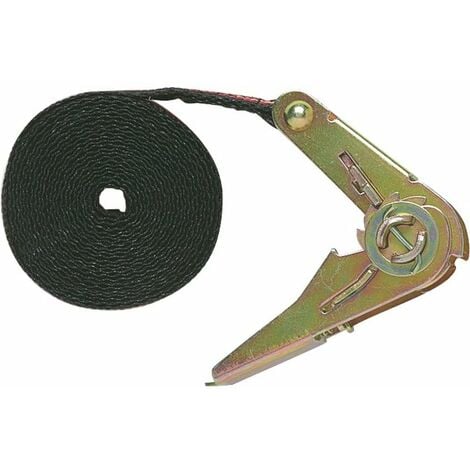 ECOLANDS Sangle d'arrimage à cliquet Joubert - Longueur 3,5 m