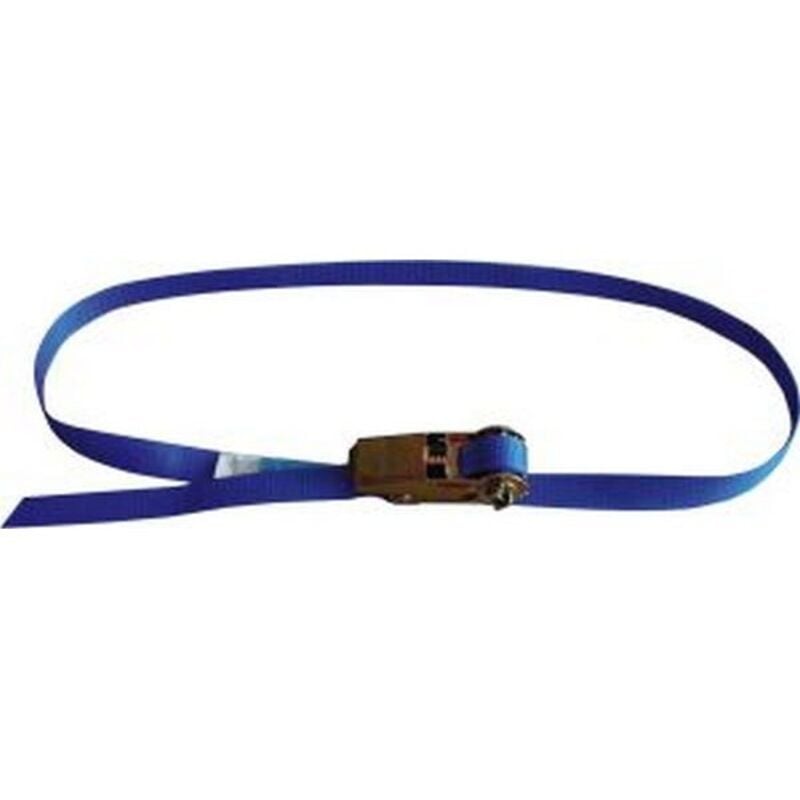 Sangle d'arrimage avec tendeur à cliquet, sangle de 25 mm de large, Modèle : 1 pièce, Long. 4 m