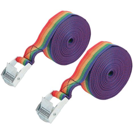 Sangle d'arrimage réglable en zinc et fer avec boucle à cliquet et came à dégagement rapide, 3 m / 9,8 pi