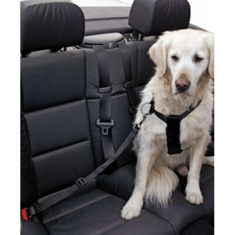 Sangle de sécurité pour chien - X Tour de poitrine 80-110 cm
