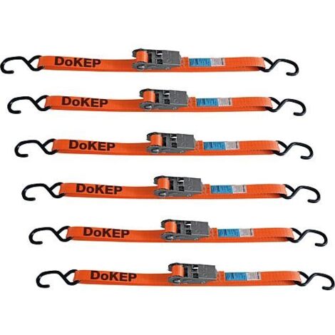 Sangles, une piece, orange sangle 25mm, longueur 4m, PVC, emb 6pcs,12 crochets S inclus,