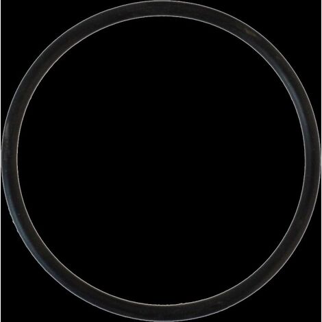 Sanicomfort O-Ring für Heizölfilter