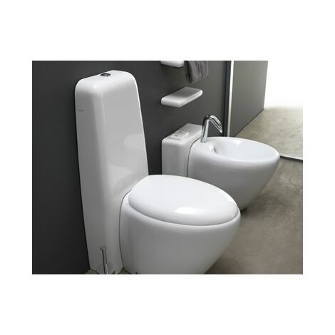 Sanitari Touch monoblocco senza brida con sedile standard cm. 55