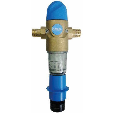 Sanitop-Wingenroth 14326 4 - Filtro dell'acqua per casa, 1 pollici, pressione nominale: 16 bar, colore: Blu