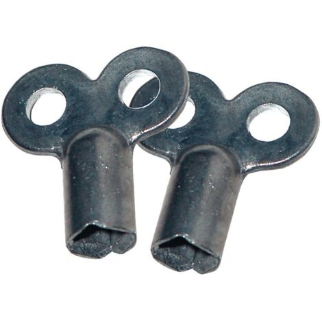 Sanitop-Wingenroth 27140 0 - Chiave per valvola di sfiato per termosifoni, 2 pz