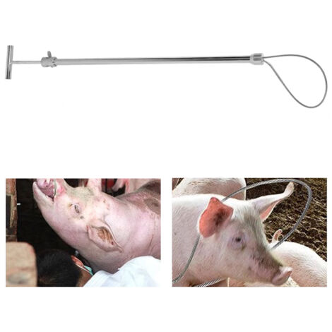 Sans-tête à Pôle Fixation Portable à Suspension de Stainless Steel