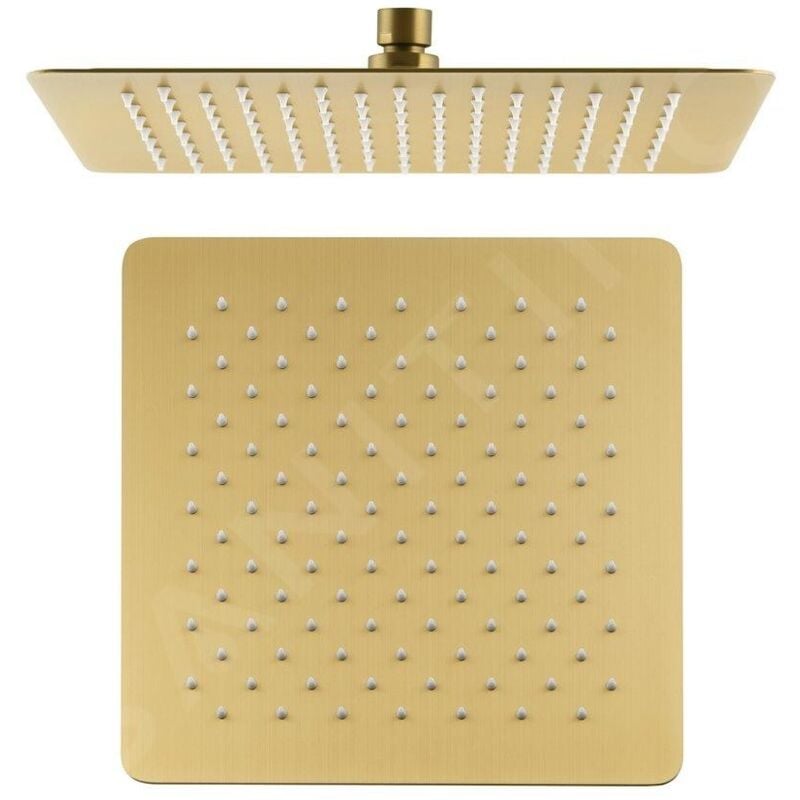 Sapho - Slim - Douche de tête 300x300 mm, doré SL101GB