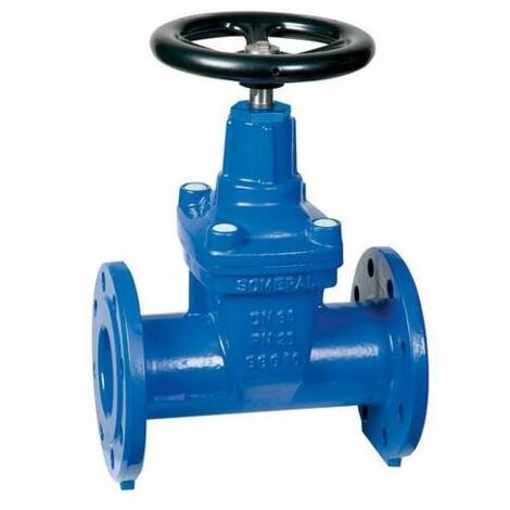 SARACINESCA CORPO OVALE DN 80 PN 25 PLASS