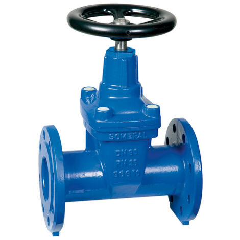 SARACINESCA CORPO OVALE- DN 80 PN 25- PLASS- pezzi 1