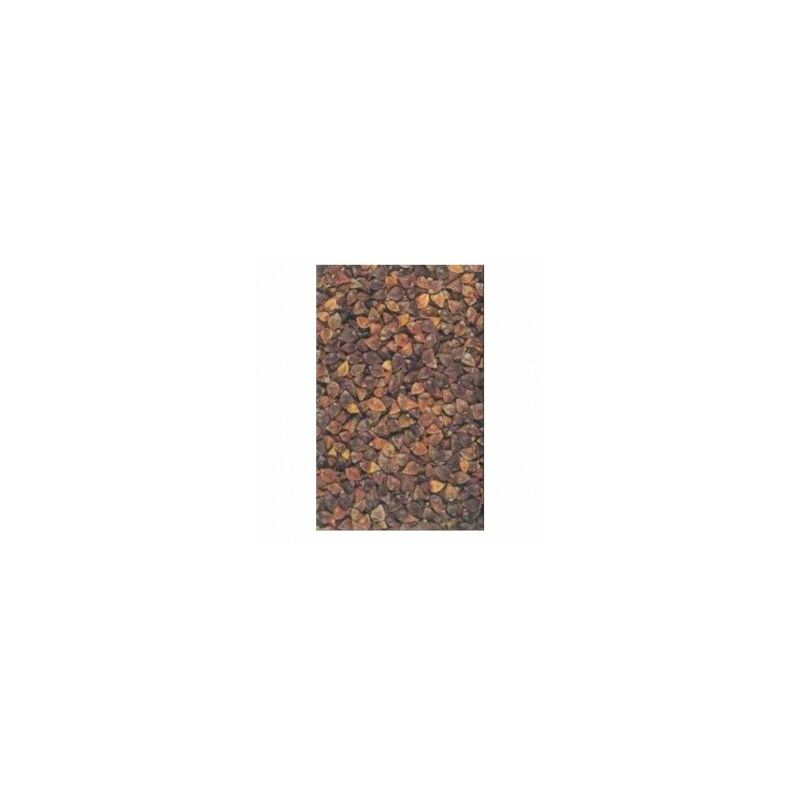 Graines Bocquet - Sarrasin (Fagopyrum esculentum) - 10g